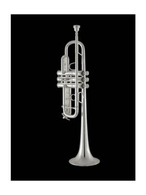 TROMPETE DÓ BACH STRADIVARIUS C180L/229 TUDEL 25C LACADA