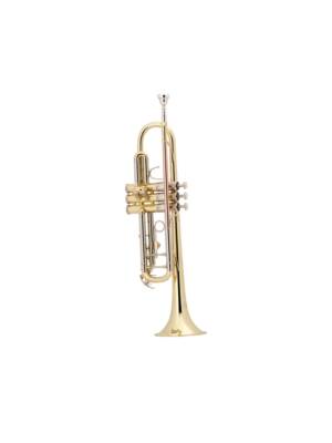 TROMPETE Sib BACH LACADO C/ESTOJO TR500