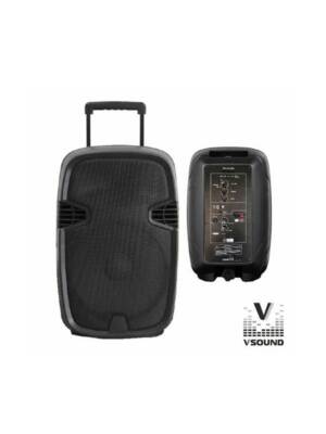 COLUNA AMPLIFICADA 15"  USB/BT/SD/M/BAT C/MIC S/FIOS