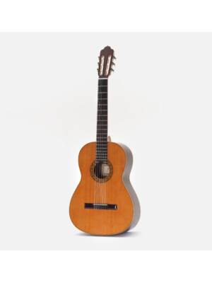 GUITARRA ESTEVE CLASSICA MOD 1