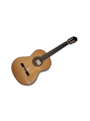 GUITARRA PACO CASTILLO CLASSICA MOD 202