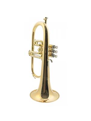 FLISCORBE Sib ANTOINE COURTOIS PROFESSIONAL  LACADO C/ESTOJO