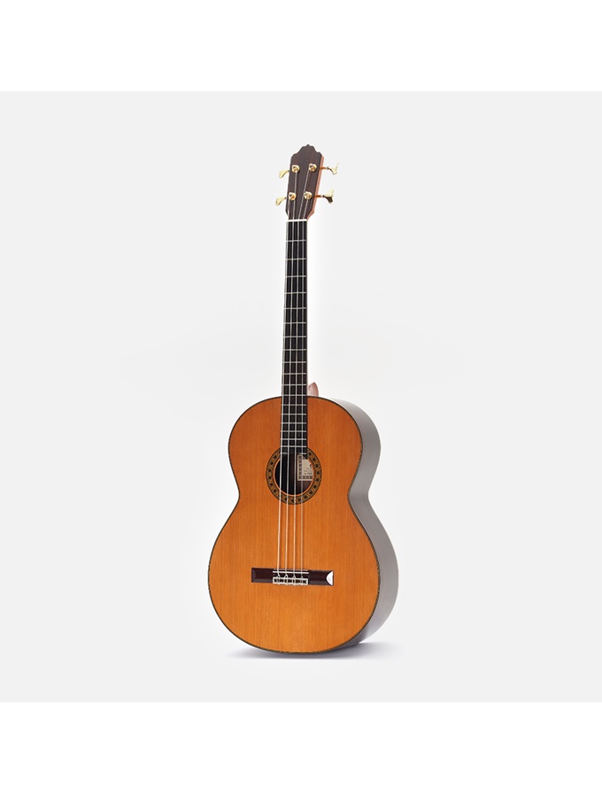 BAIXO ACUSTICO ESTEVE 4 CORDAS C/ESTOJO