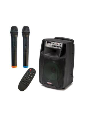 COLUNA AUDIODESIGN AMPL. 12" 150W C/2 MIC. USB