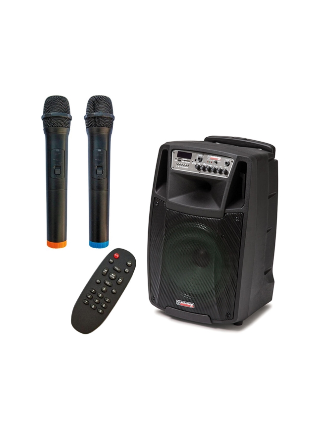COLUNA AUDIODESIGN AMPL. 12" 150W C/2 MIC. USB