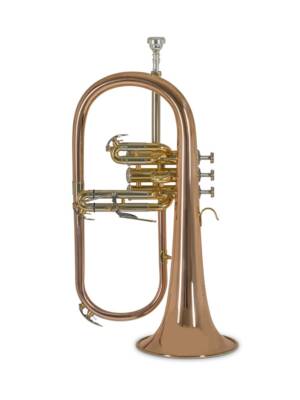 FLISCORNE Sib BACH DOURADO C/ESTOJO FH501