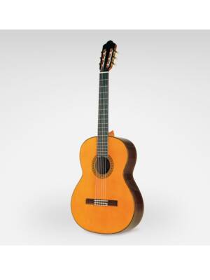 GUITARRA ESTEVE CLASSICA SOLIDA MOD. 8