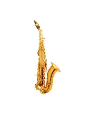 SAX SOPRANO CURVO WISEMAN LACADO C/ESTOJO DSS-C300