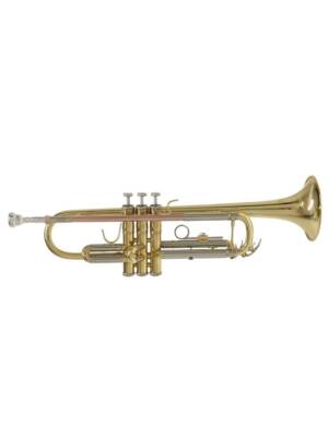TROMPETE Sib BACH PRATEADA COM ESTOJO TR650S