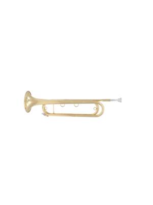 CLARIM Mib SML LACADO NATURAL COM ESTOJO FTPC91-L